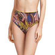 Труси кюлоти