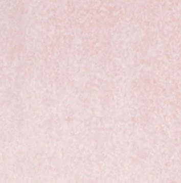 225-Bellflower heather